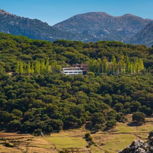 Acogedor Apartamento